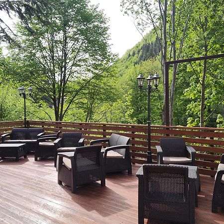 Villa Sezatoarea Lupilor Lepşa Exterior foto