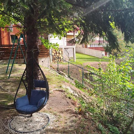 Villa Sezatoarea Lupilor Lepşa Exterior foto