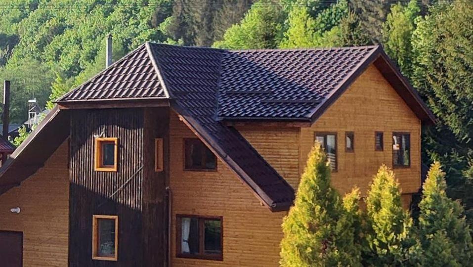Villa Sezatoarea Lupilor Lepşa Exterior foto