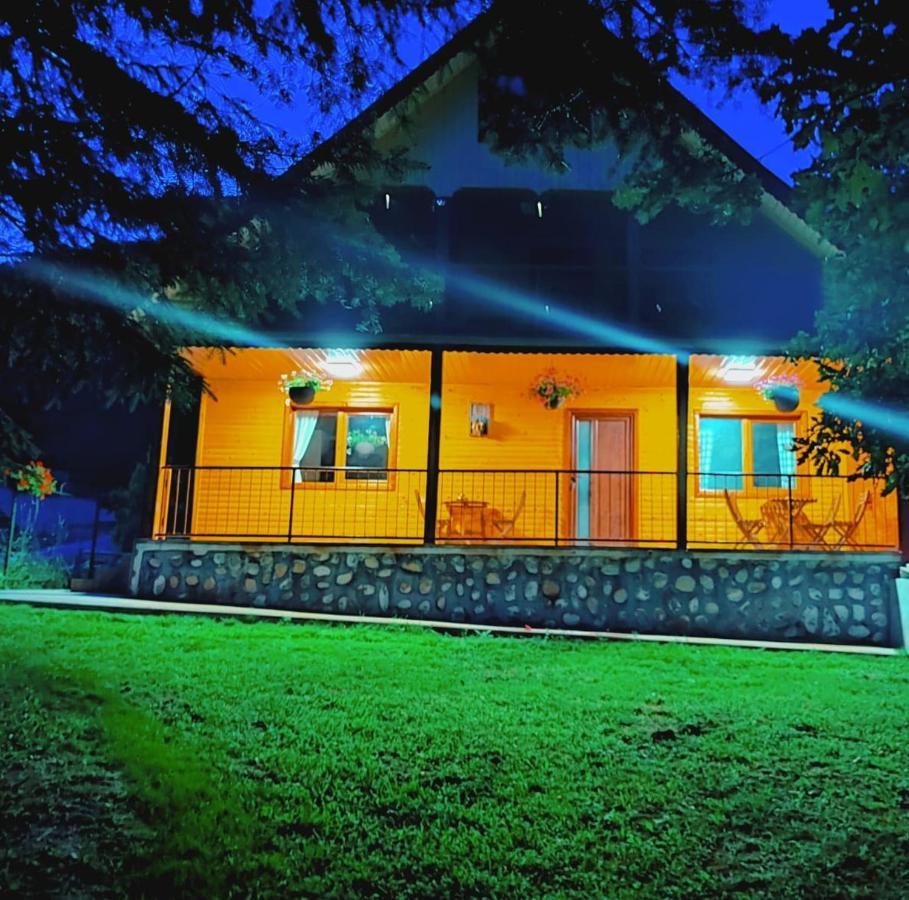 Villa Sezatoarea Lupilor Lepşa Exterior foto