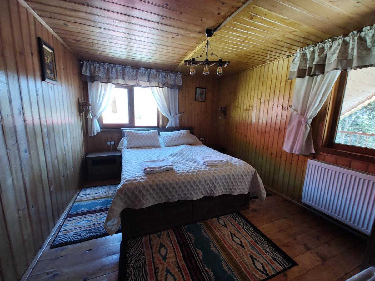 Villa Sezatoarea Lupilor Lepşa Exterior foto
