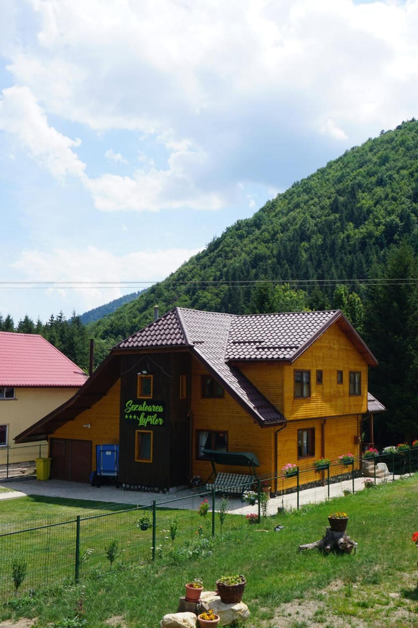 Villa Sezatoarea Lupilor Lepşa Exterior foto